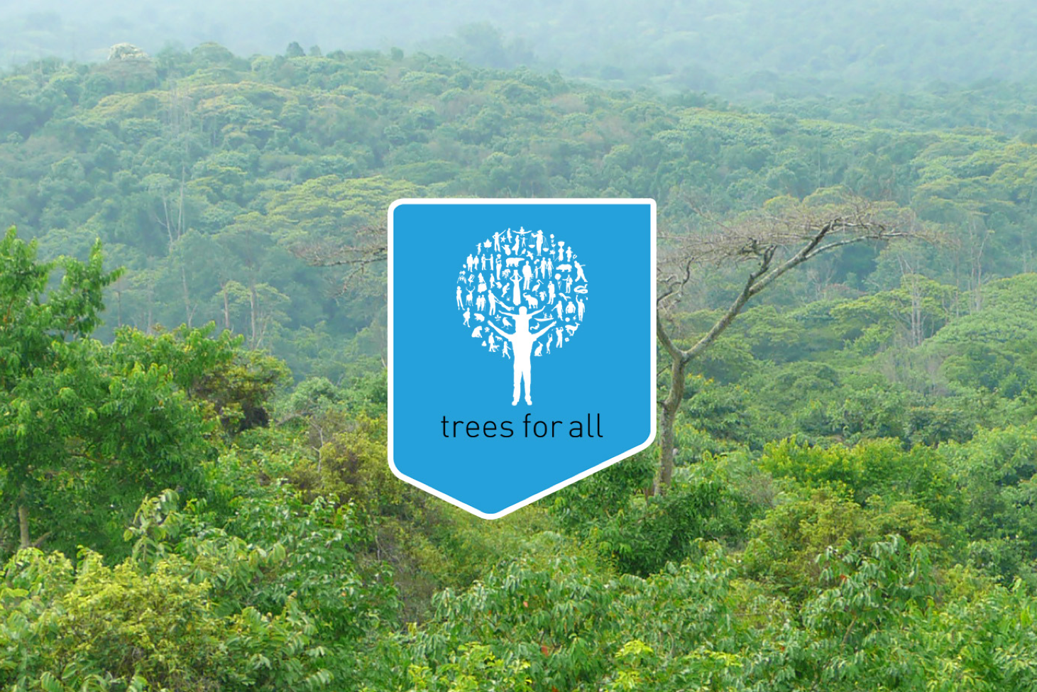 5. Trees for all